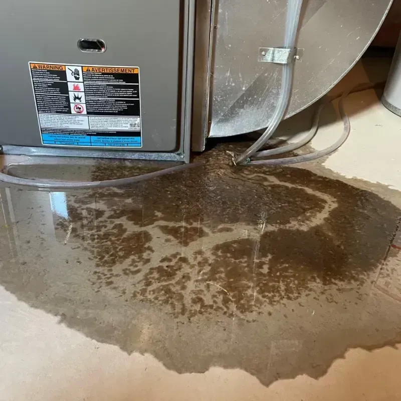 Appliance Leak Cleanup in Cayey, PR